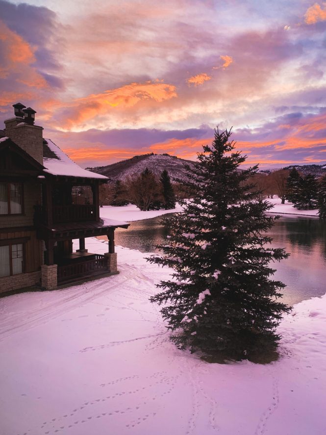 early winter sunrise with snow and tall pine trees with blue and pink clouds 